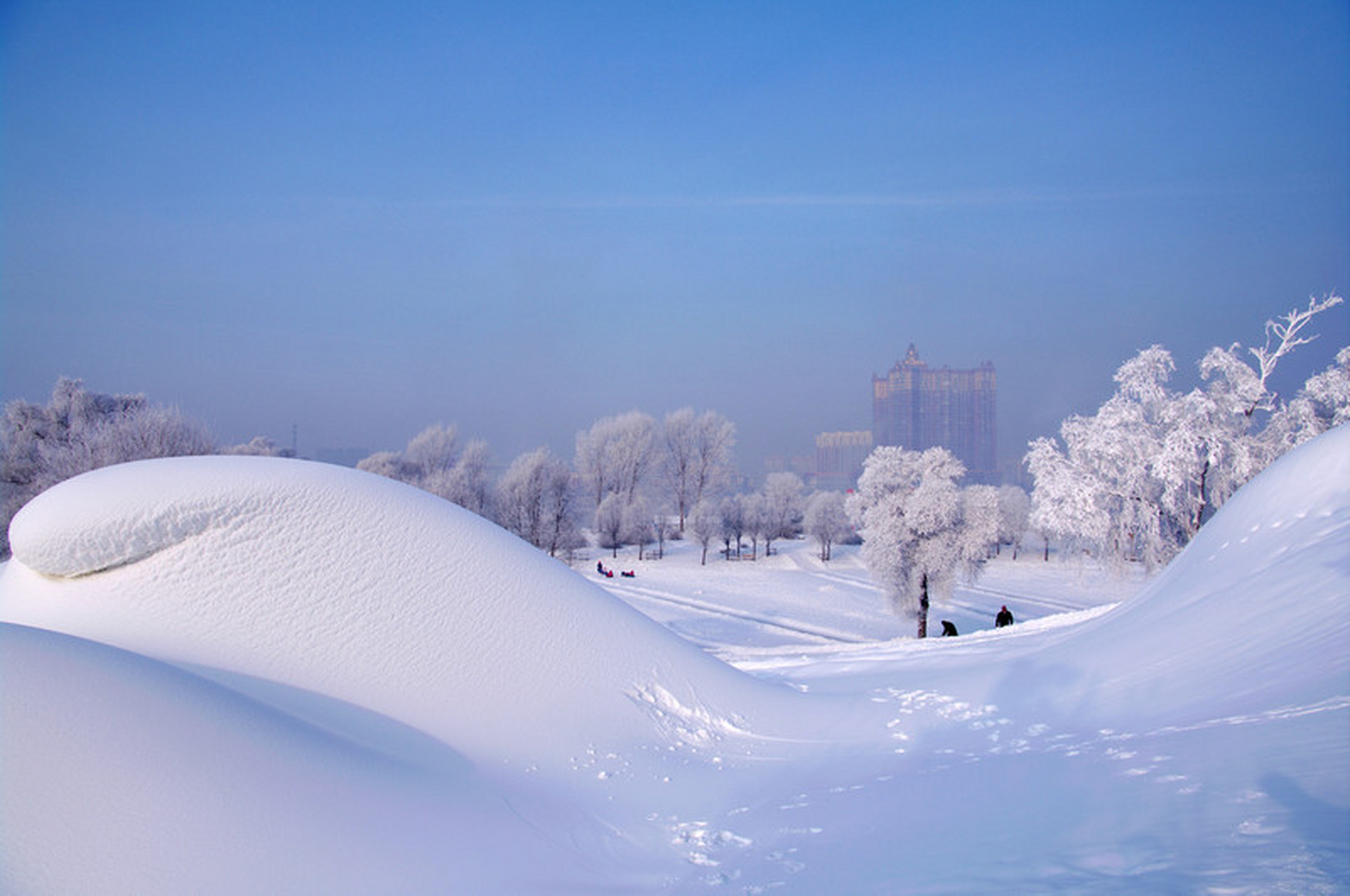千里冰封,万里雪飘,  银装素裹,原驰蜡象……  壮丽的北国雪景