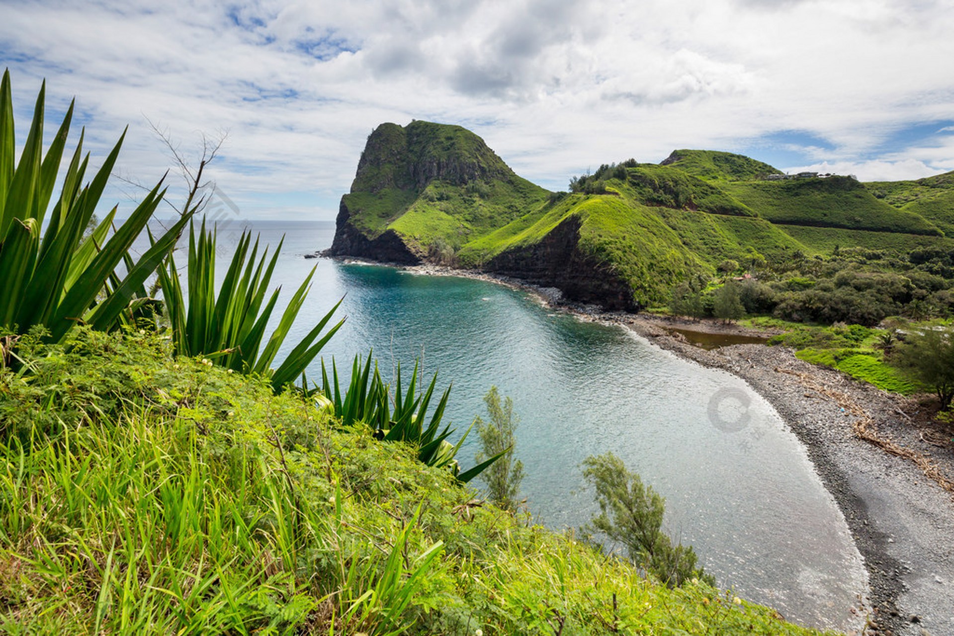 毛伊島,美國夏威夷州茂伊縣火山島,在莫洛凱島和夏威夷島之間,是