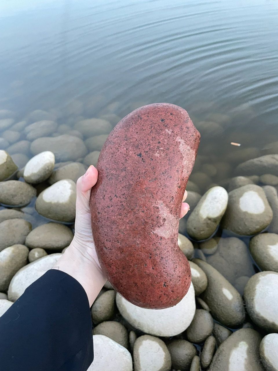 河边捡的大腰子,糖炒栗子和李晨的石头.