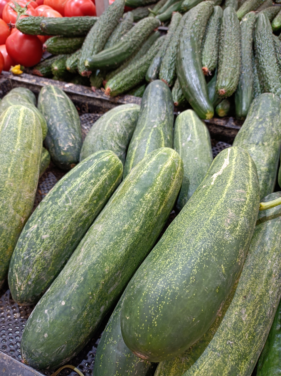 像我很喜欢生吃黄瓜,每次买回来里面籽都很大了,口感偏老不好吃了.