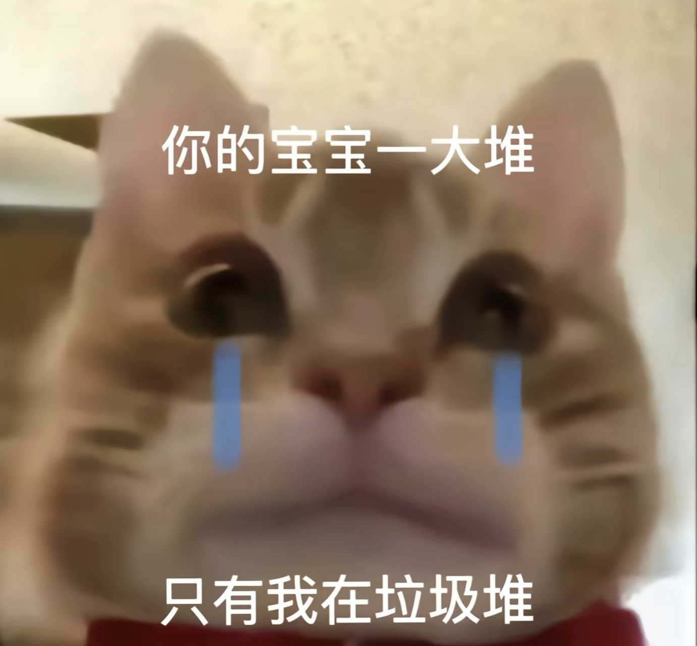 歪嘴小猫表情包～ #恋爱# #搞笑# #表情包