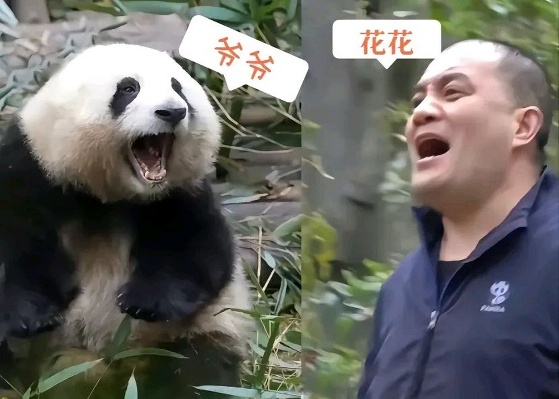 动物也是有感情的,只是不会用人类的语言来表达而已.