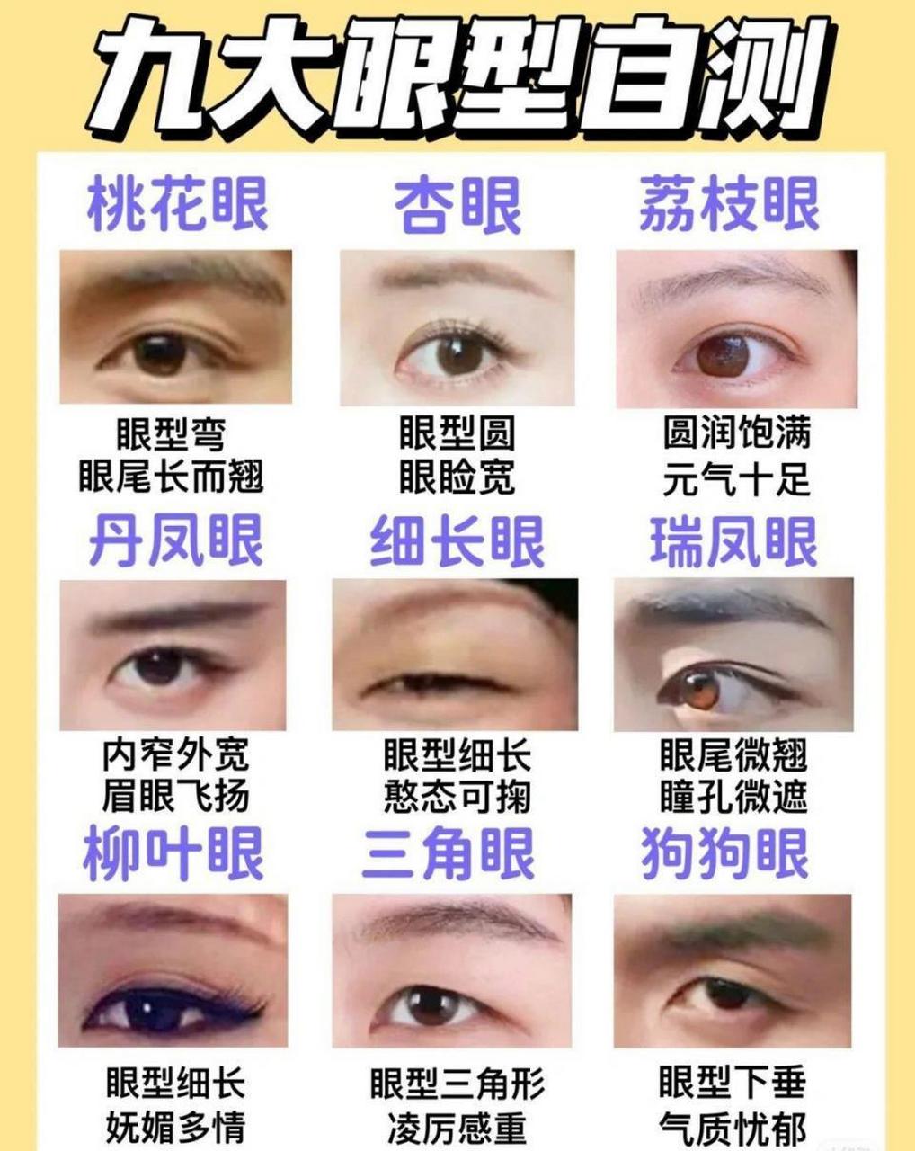 九种眼型汇总