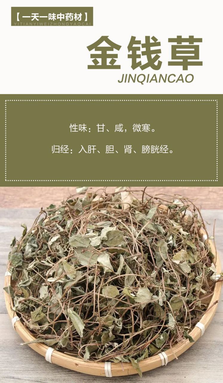 【性味归经】甘,淡,凉.归肝,肾,膀胱经.#青青乐# #中草药