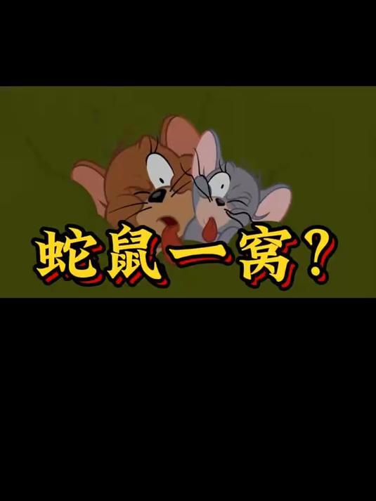哪来的蛇鼠一窝
