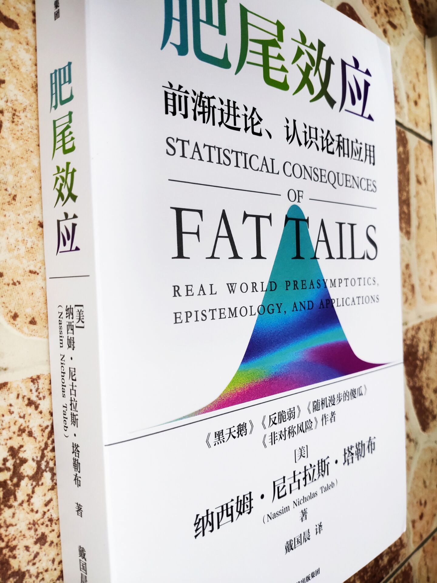 黑天鹅,反脆弱,塔勒布的不确定理论体系下又将多一个肥尾效应