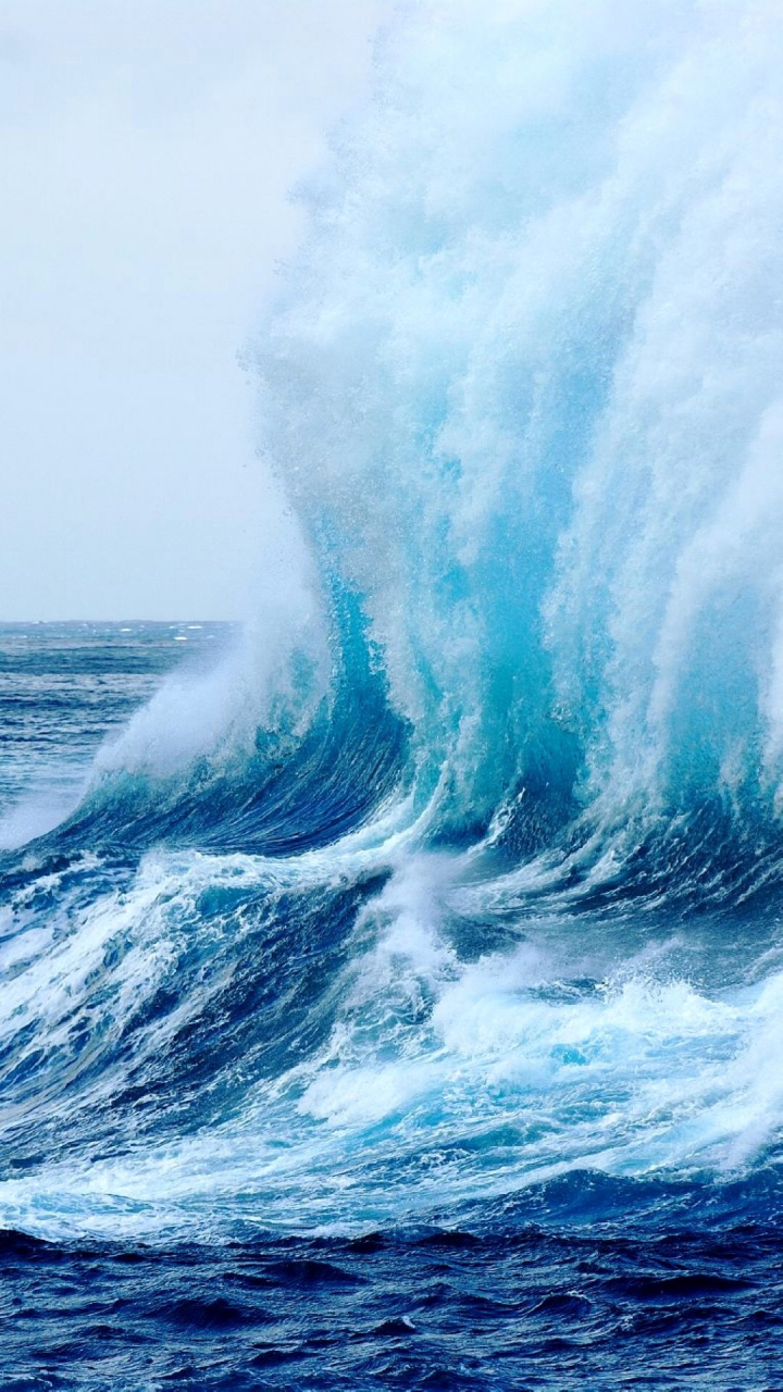 海浪拍打着沙滩,一浪高过一浪, 浪花一朵朵盛开,浪花一朵朵落下 盛开