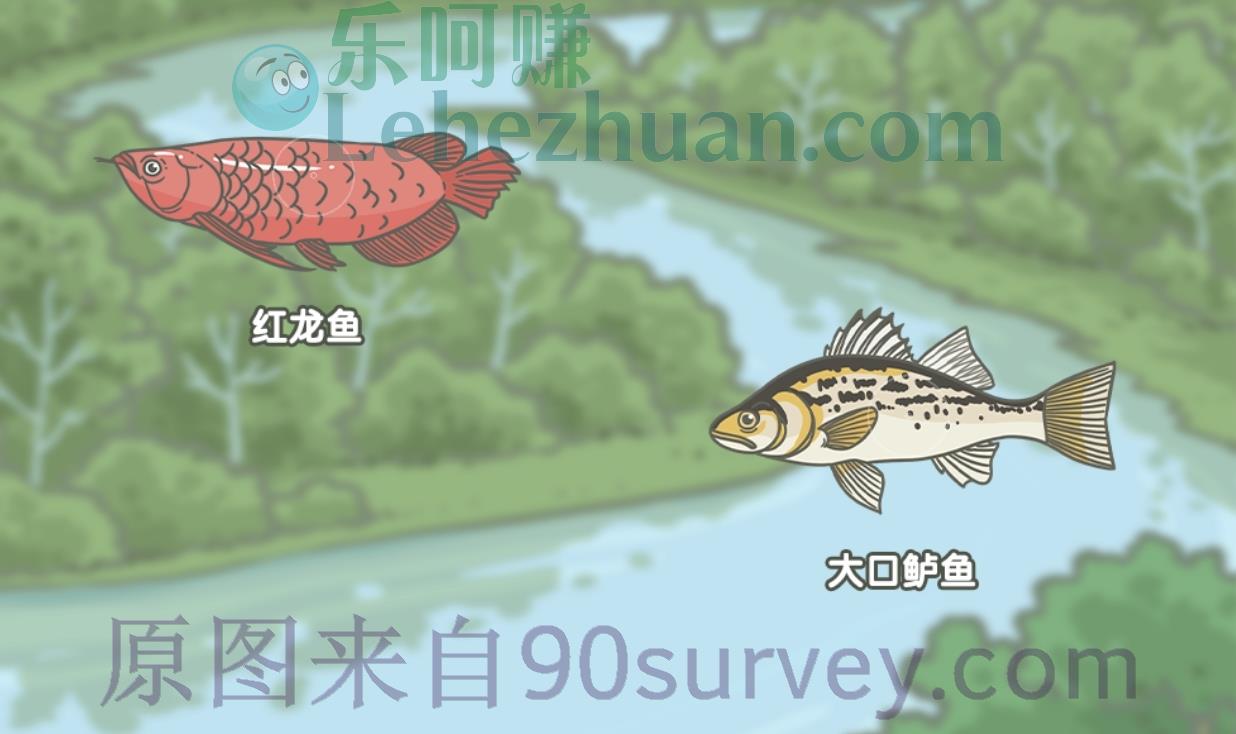 比繁殖它可从没怕过，这个它究竟是谁？