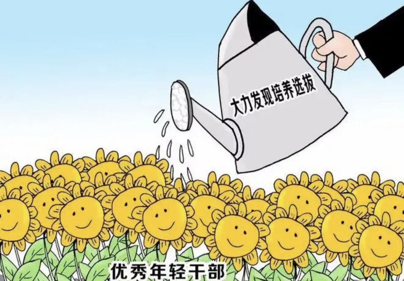 加强培训培养 助力年轻干部成长