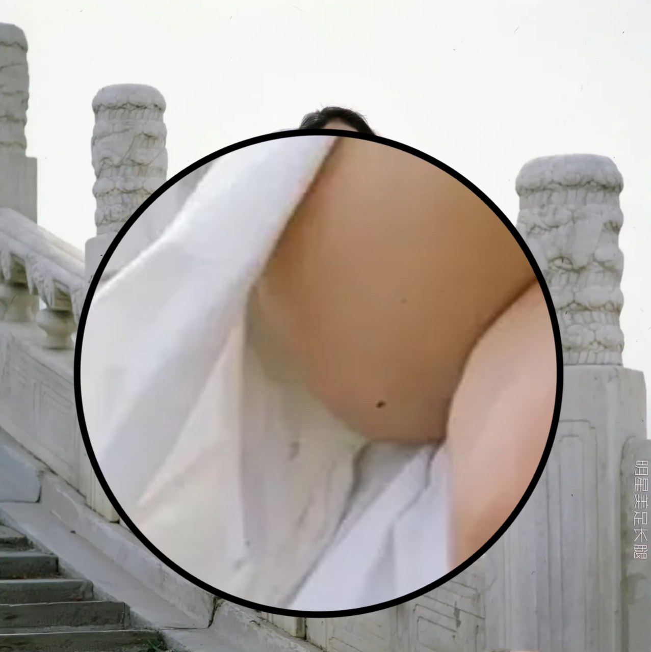 陈红这臀部下是一颗痣还是一直苍蝇呢?