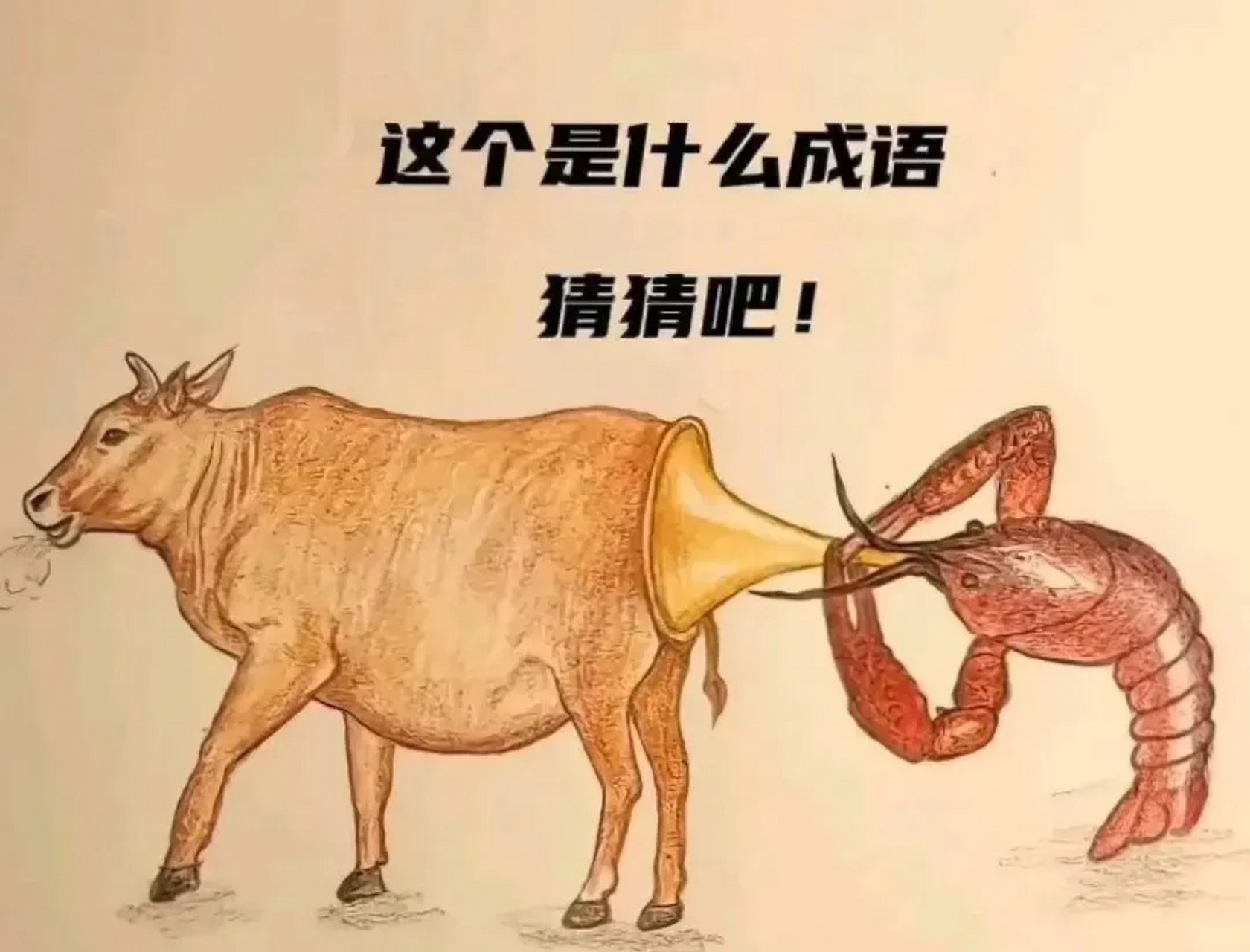 看图猜成语,有才你就来.