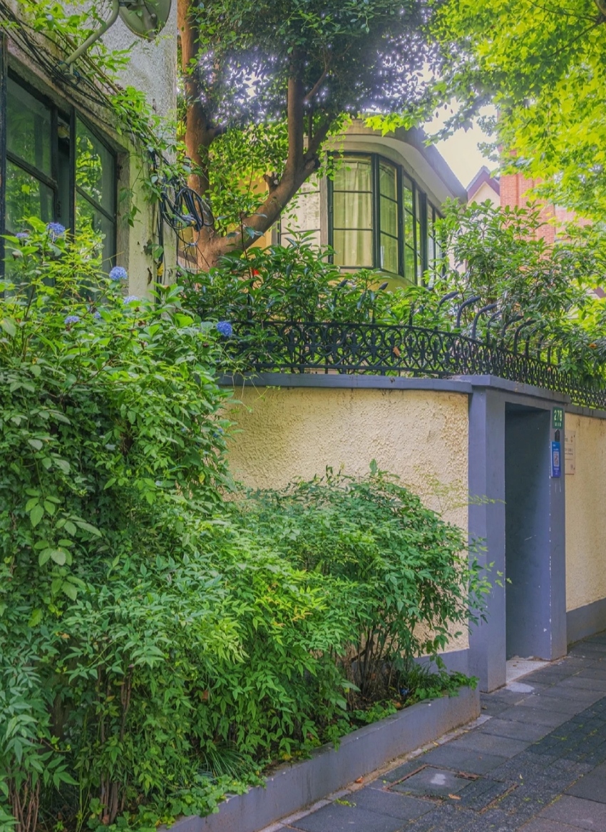 上海徐汇湖南路兴国路口街心花园千姿百态