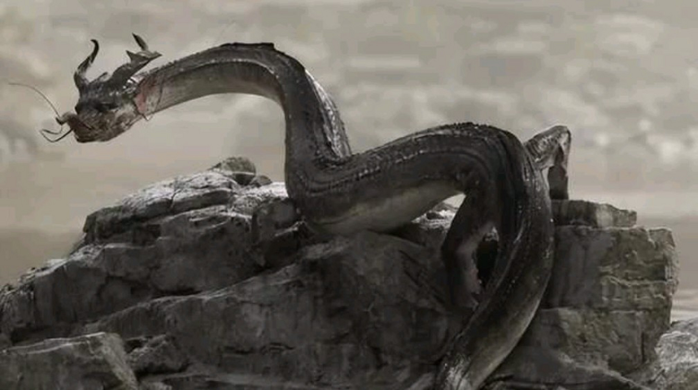 你见过走蛟吗?传说蛇修炼五百年为蛟,蛟修炼千年就可以化龙.