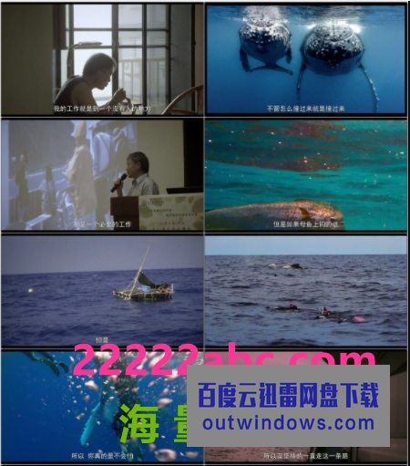 2021台湾高分纪录片《男人与他的海》HD1080P.国语中字1080p|4k高清