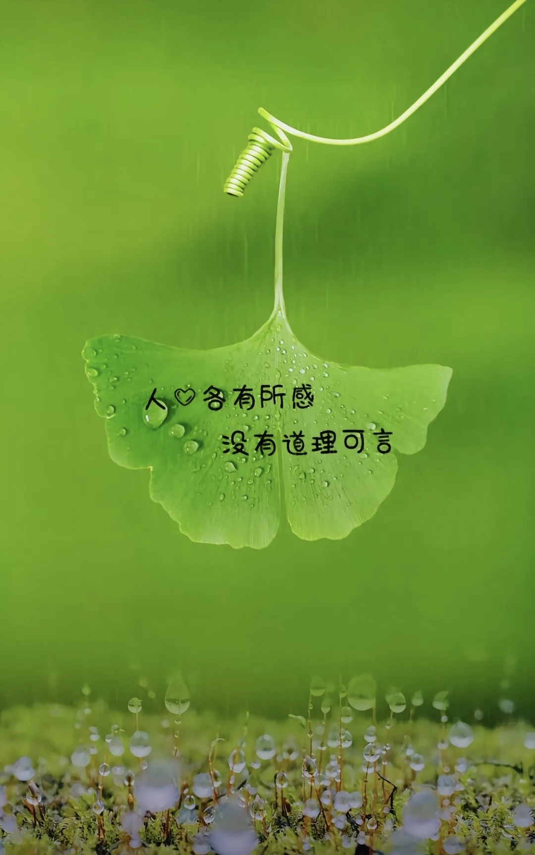 故事人人都有,可我们都是生活中的俗人要及时清醒