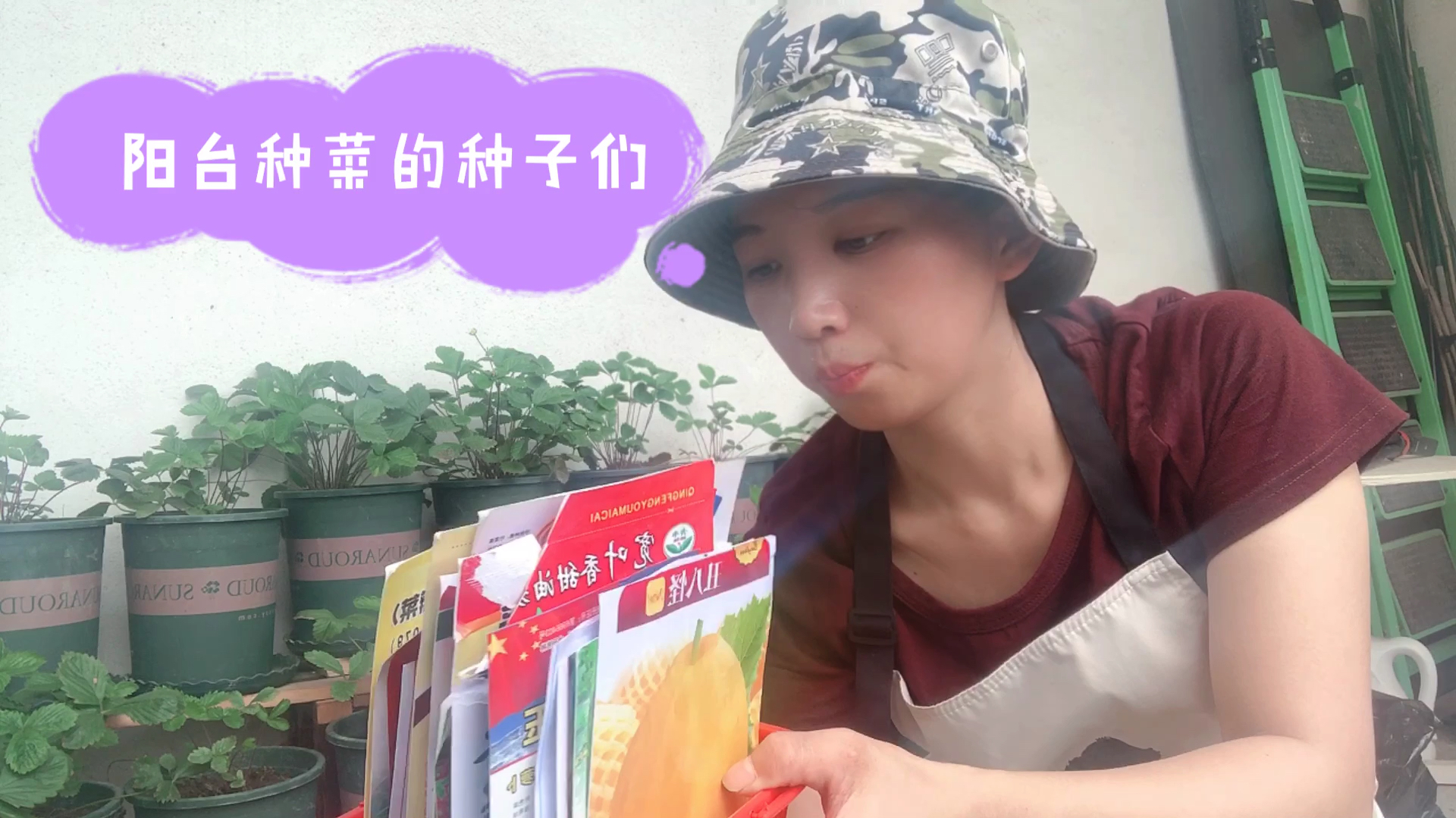 阳台种菜难不难?爱种菜的小白经验:粗糙着种收获也很好