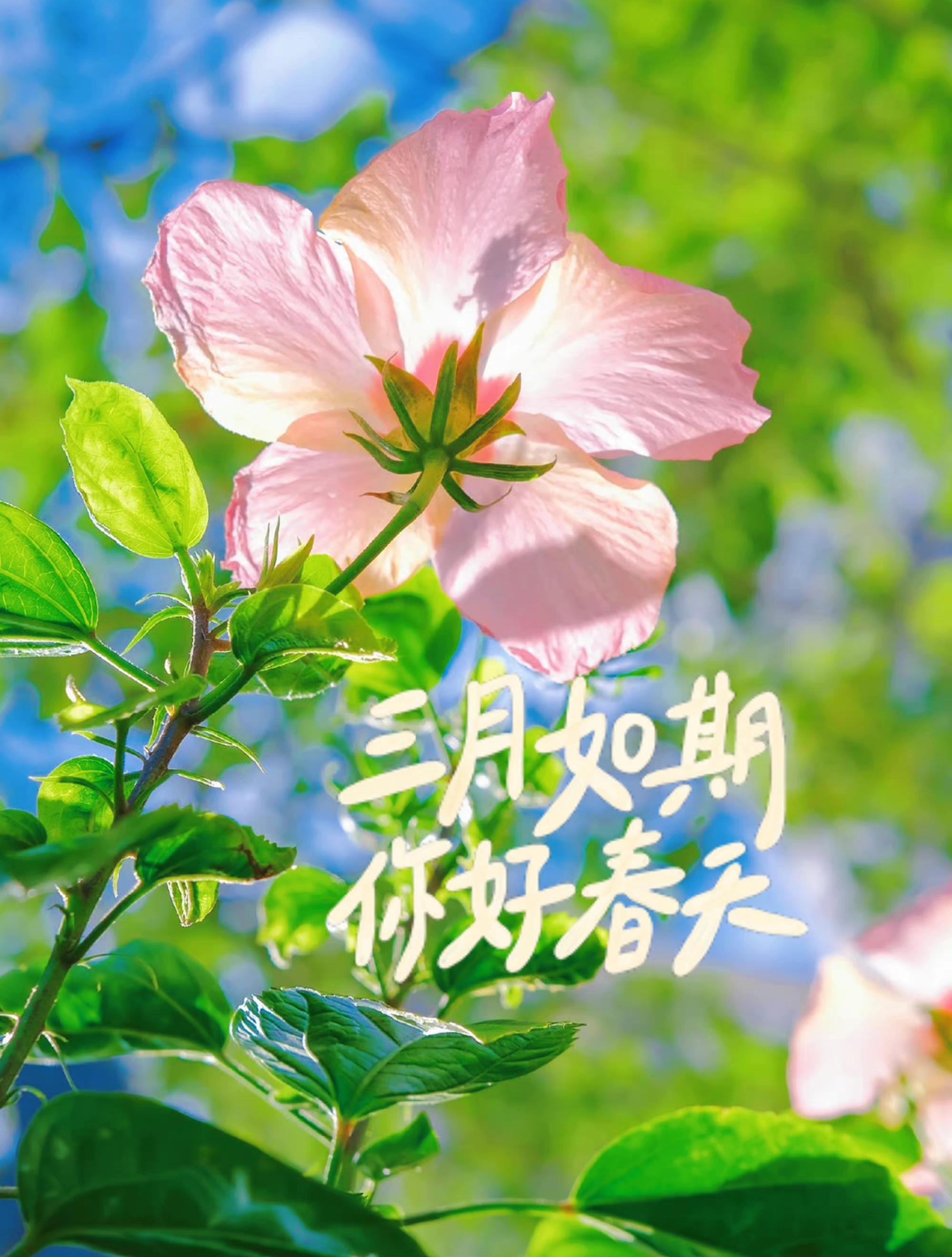 每时,每刻. 这世间所有美好,都恰逢其时