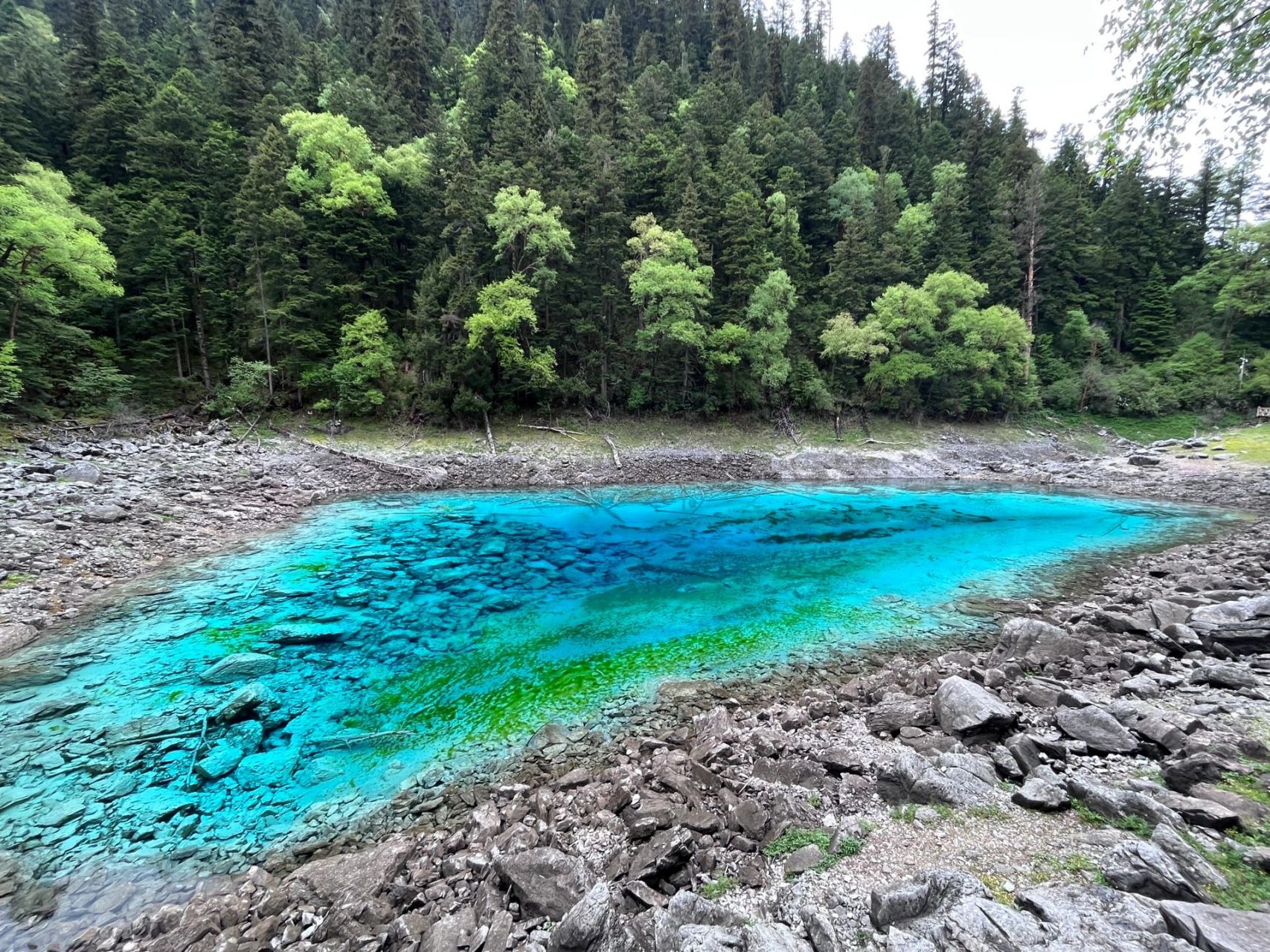 这个时候的九寨沟,五彩池果然很枯咧 美是很美 但是也是真的秃哦[捂脸