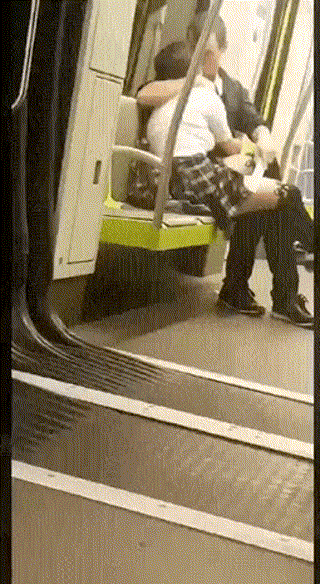 情侣无视路人地铁上激吻 动图 当着猫妈妈面绑架小猫
