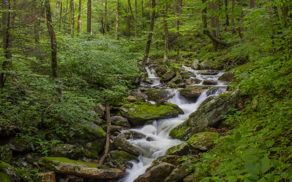 诗词/七绝《念深山》