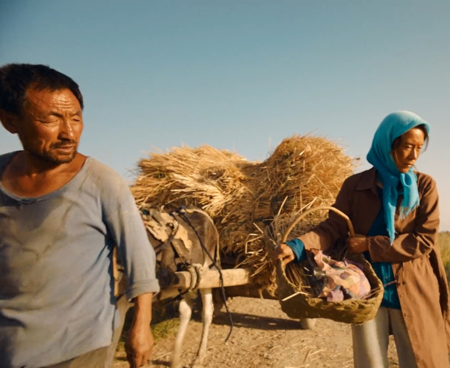 乡村隐士，回到山村当农民