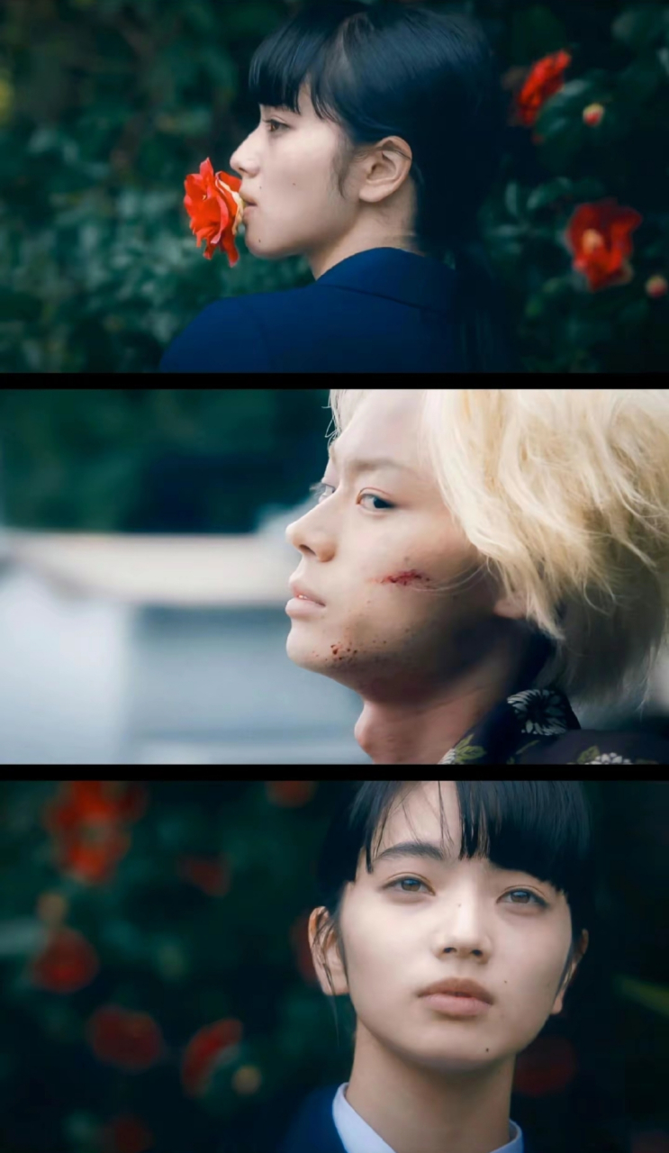 溺水小刀# #菅田将晖小松菜奈结婚# #热门话题100万流量