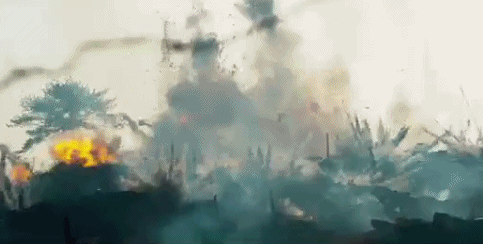 483_244gif 动态图 动图