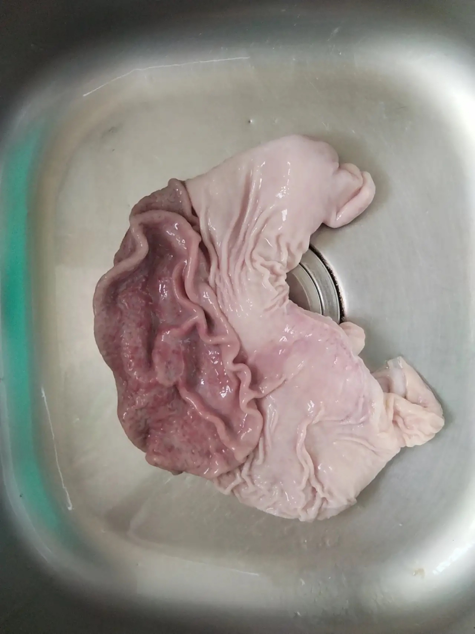 头条友友们,你们有买过这样猪肚,这样猪肚还能吃?