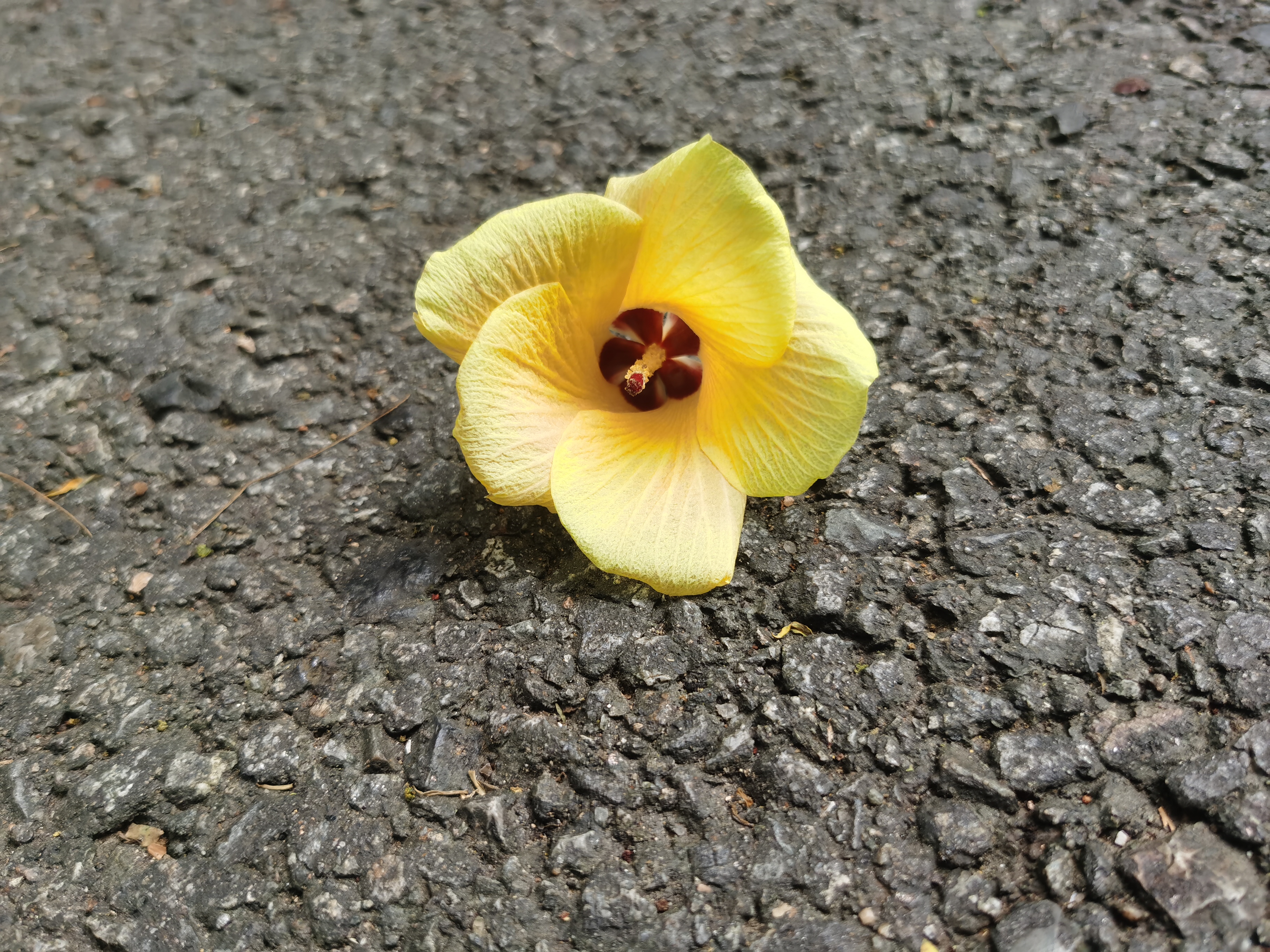 蹲下是对他人的尊重,理解和包容  地铁上,看到蹲在一角的他们,我鼻头