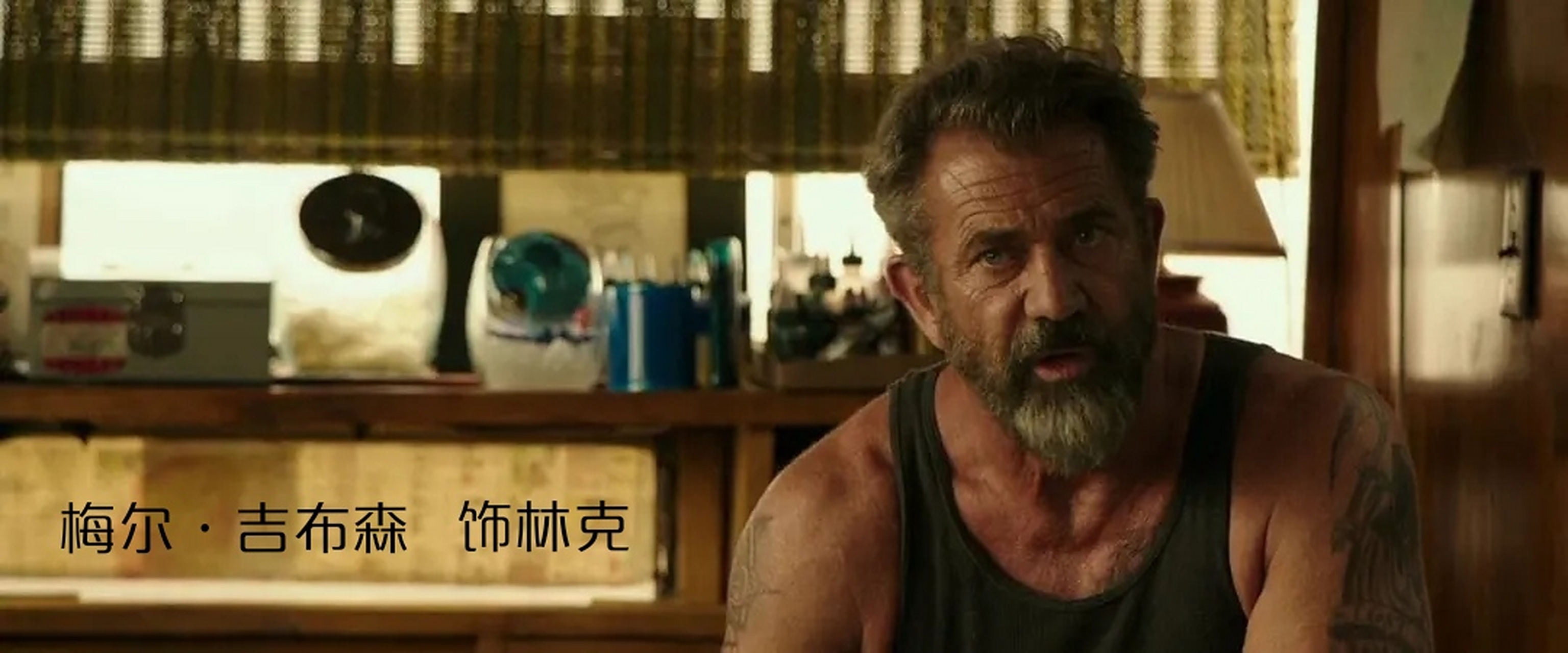 犯罪片《亡命救赎》(法国) 主演:梅尔·吉布森  剧情介绍 lydia(艾琳