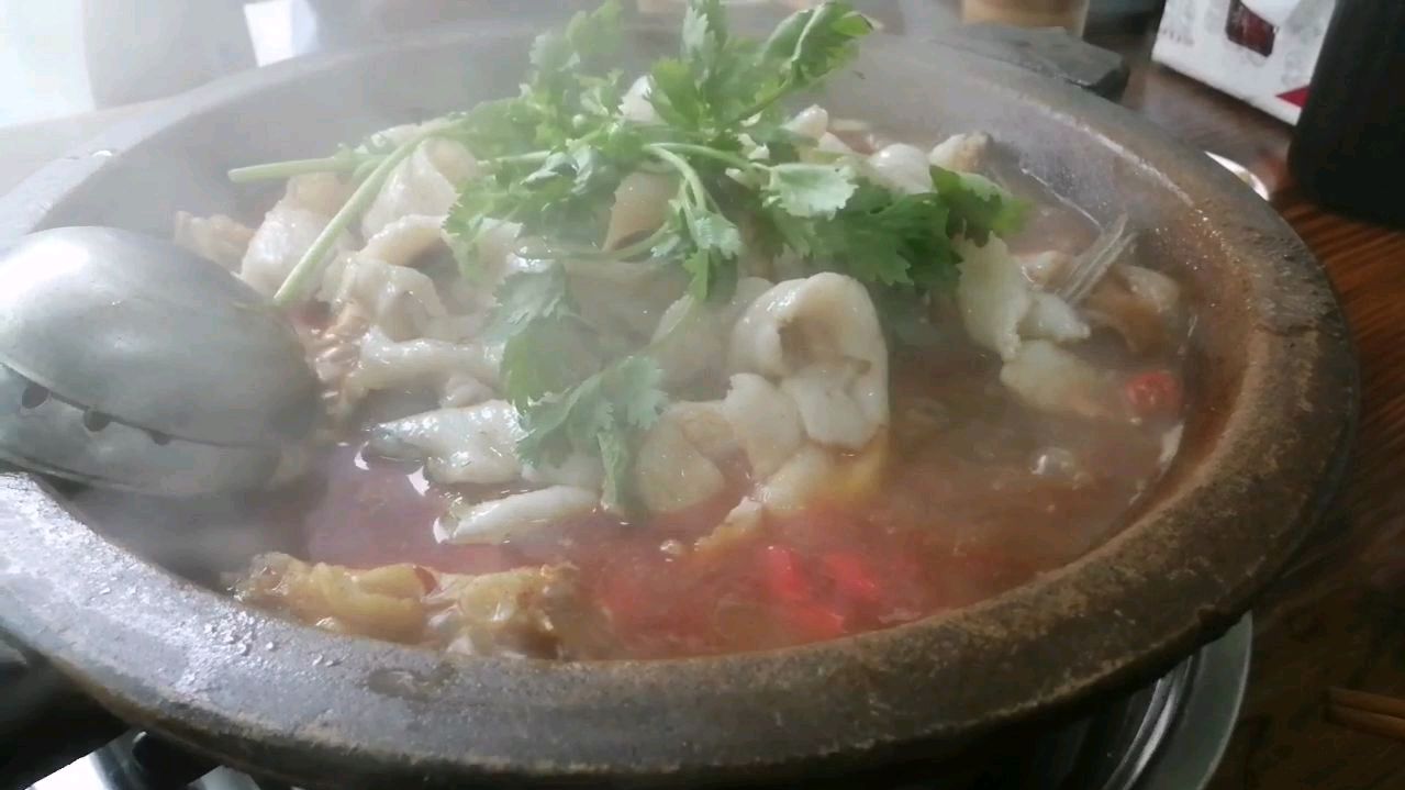 石锅鱼很好吃大黑鱼