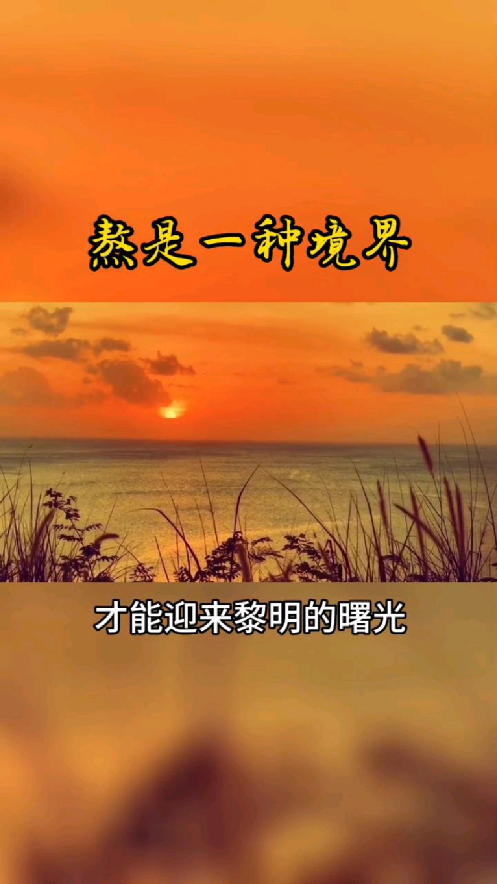 熬不住只能在黑夜里徘徊,熬得住才能迎来黎明曙光