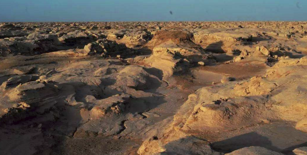 这个不毛之地,曾让人谈及色变,如今却成为了我国宝地