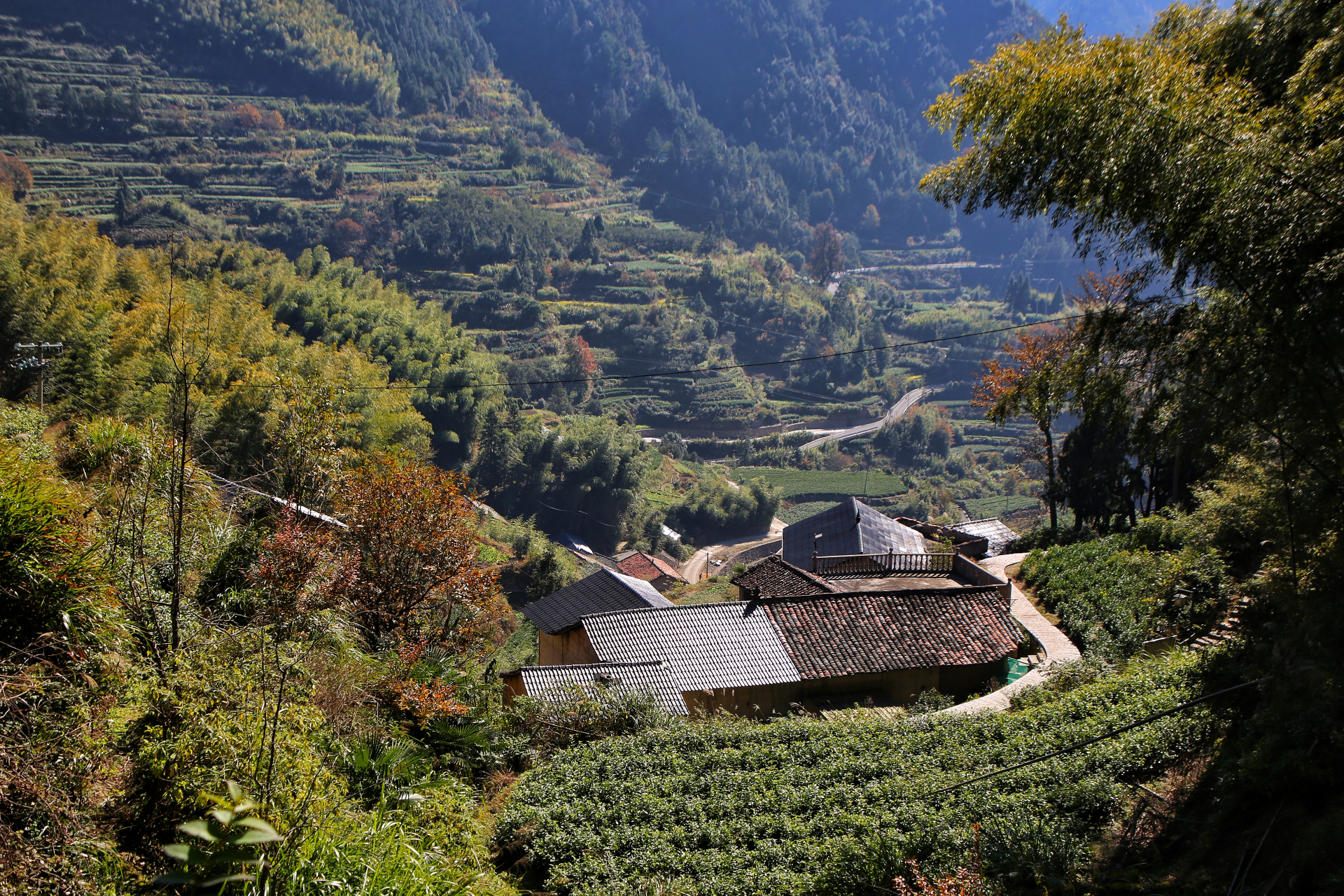 冬天的第一张照片#  陈家铺村位于浙江省丽水市松阳县四都乡大种上侣