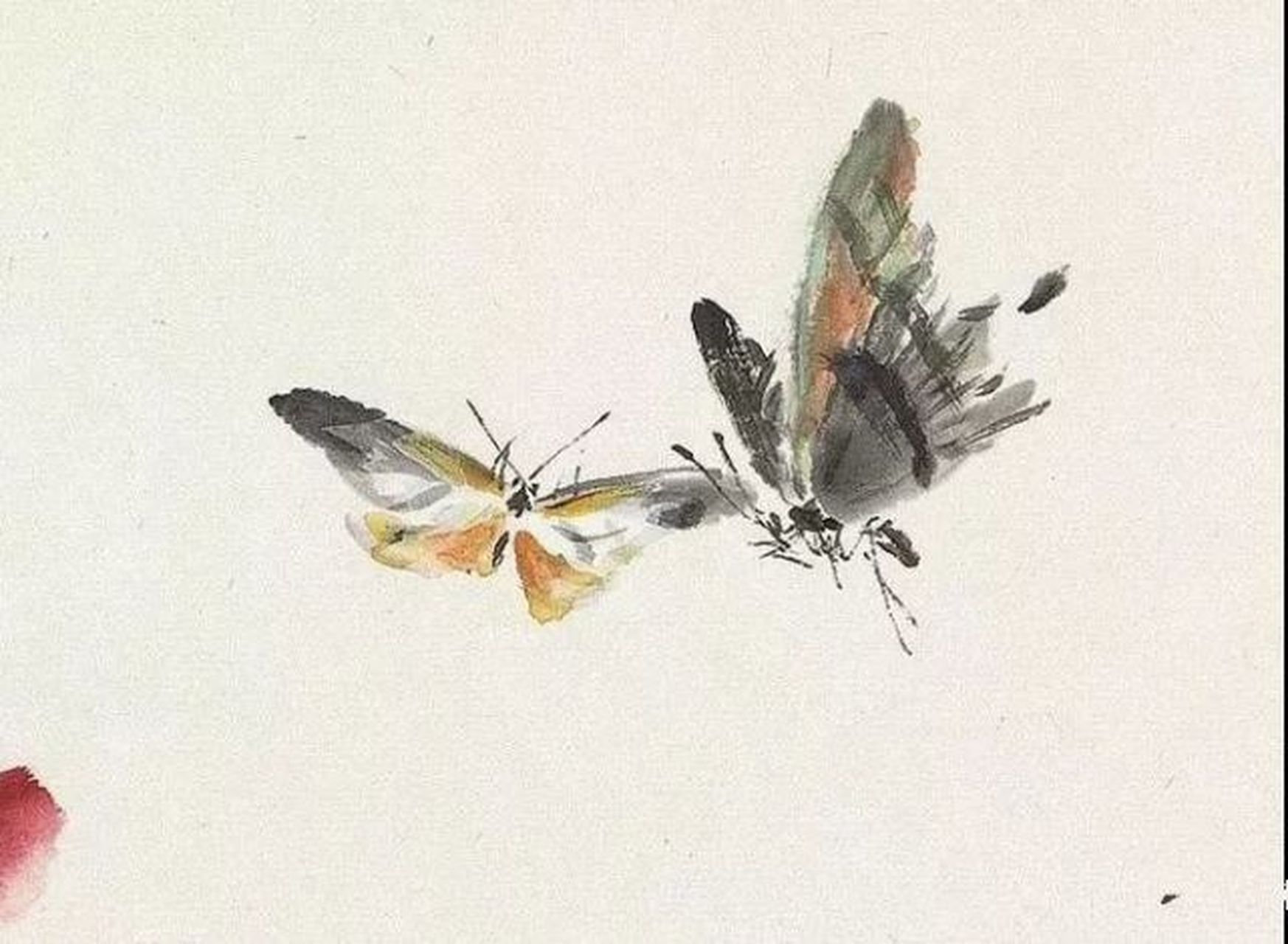 王雪涛先生蝴蝶欣赏[鲜花][鲜花][心][心][鲜花][鲜花]你们要的高清