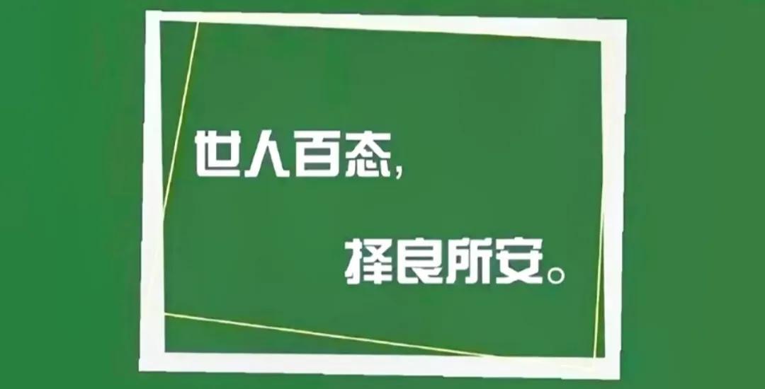 被浙江卫视曝光的300万收入的卖饼大姐:龟兔赛跑的"苟且红利"