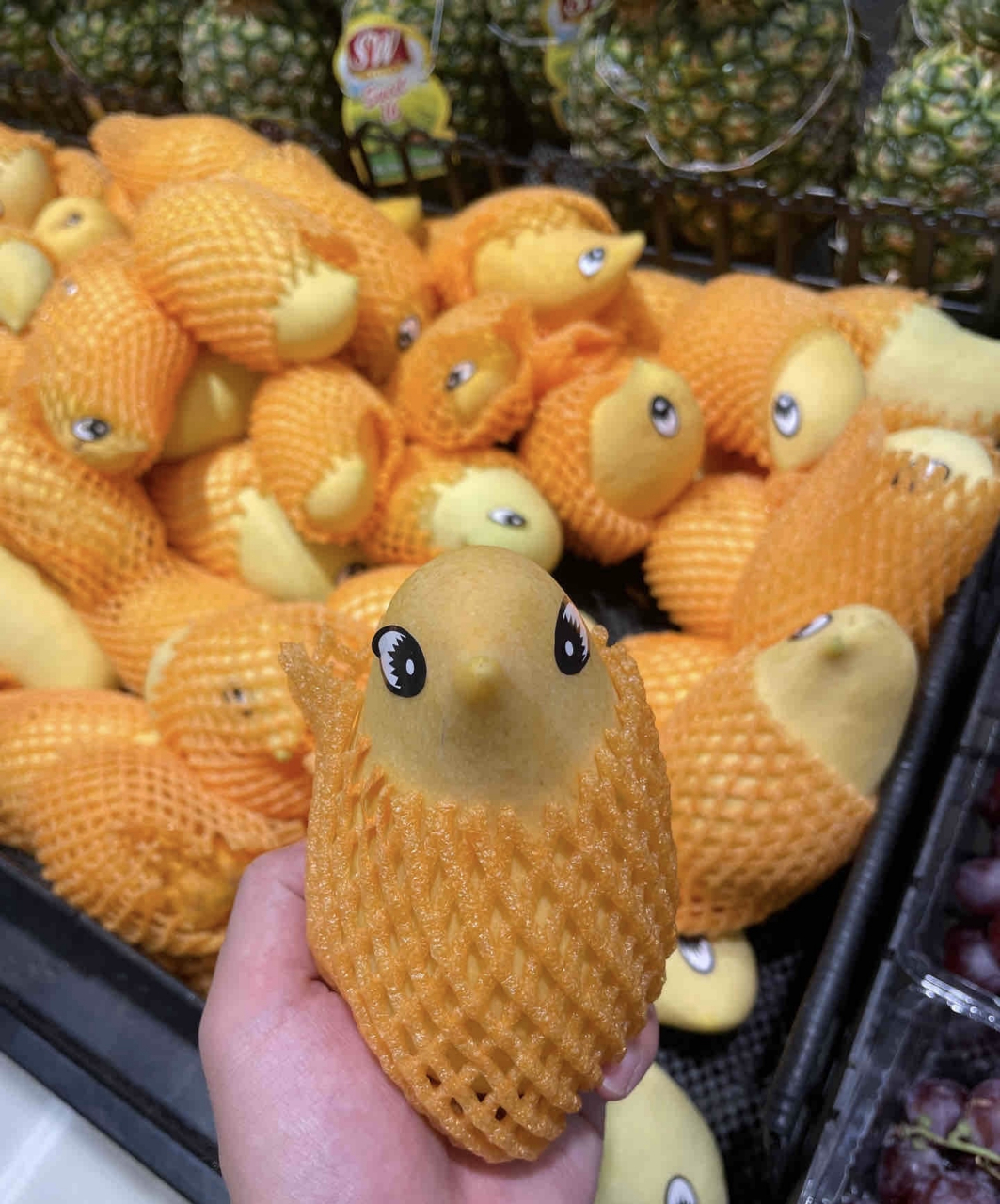 啊,鹰嘴芒,应该是芒果界最难吃的芒果了吧!有没有反驳我的?