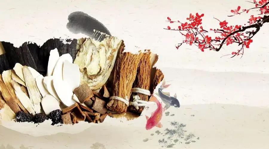 老中医麻瑞亭,清代黄元御的第五代传人,善用下气汤医治内伤杂病