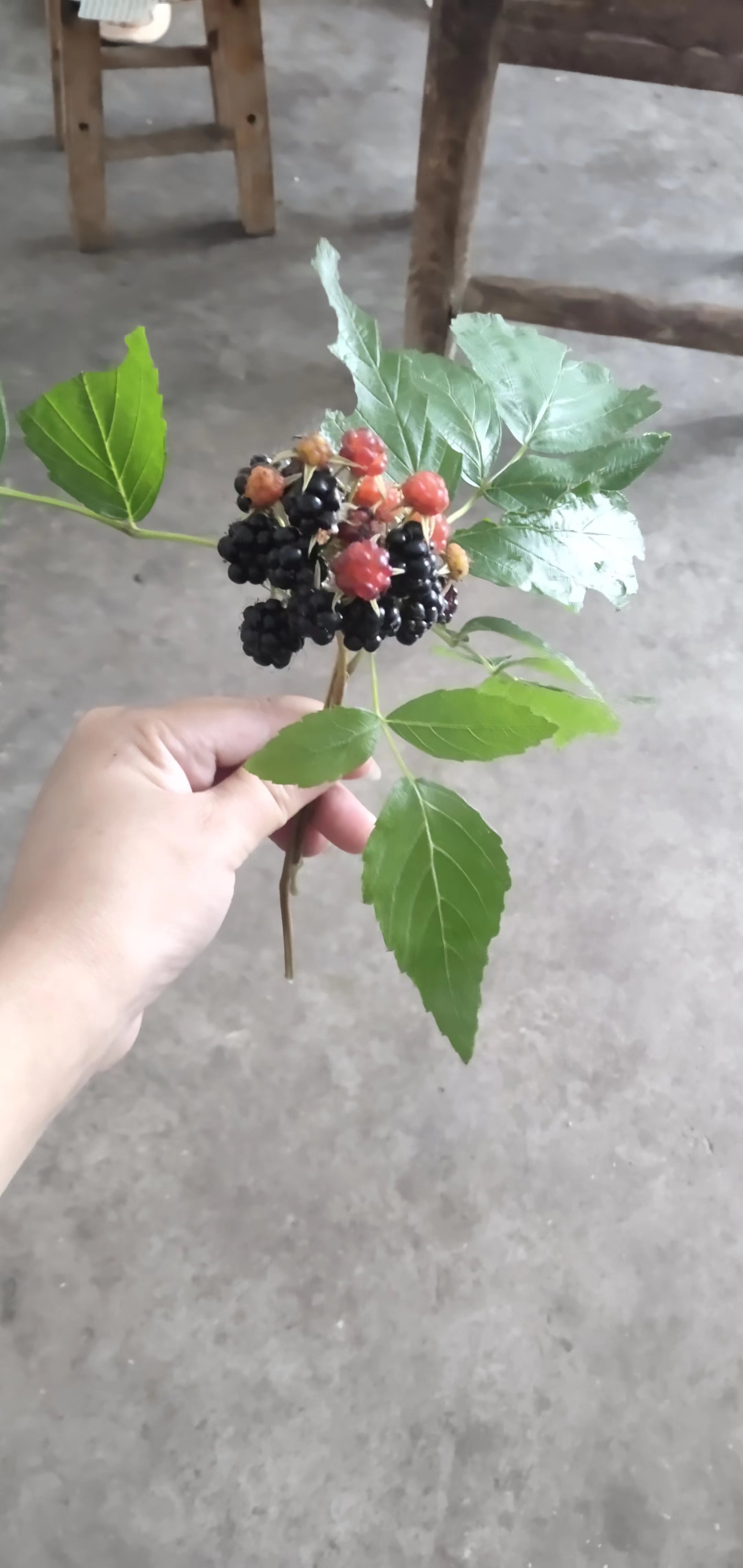 上班的感觉真好