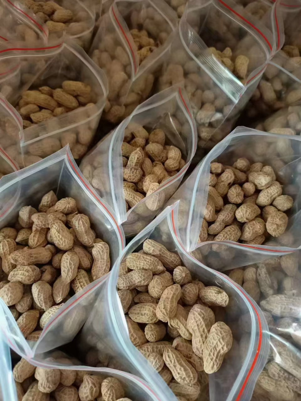 陈皮罗汉果水煮花生 好吃不上火  陈皮花生,原本是广东人"私藏"的茶点