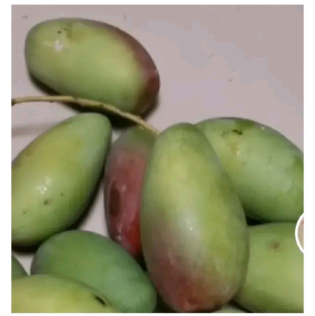 作为网红改怼支持她的粉丝吗?