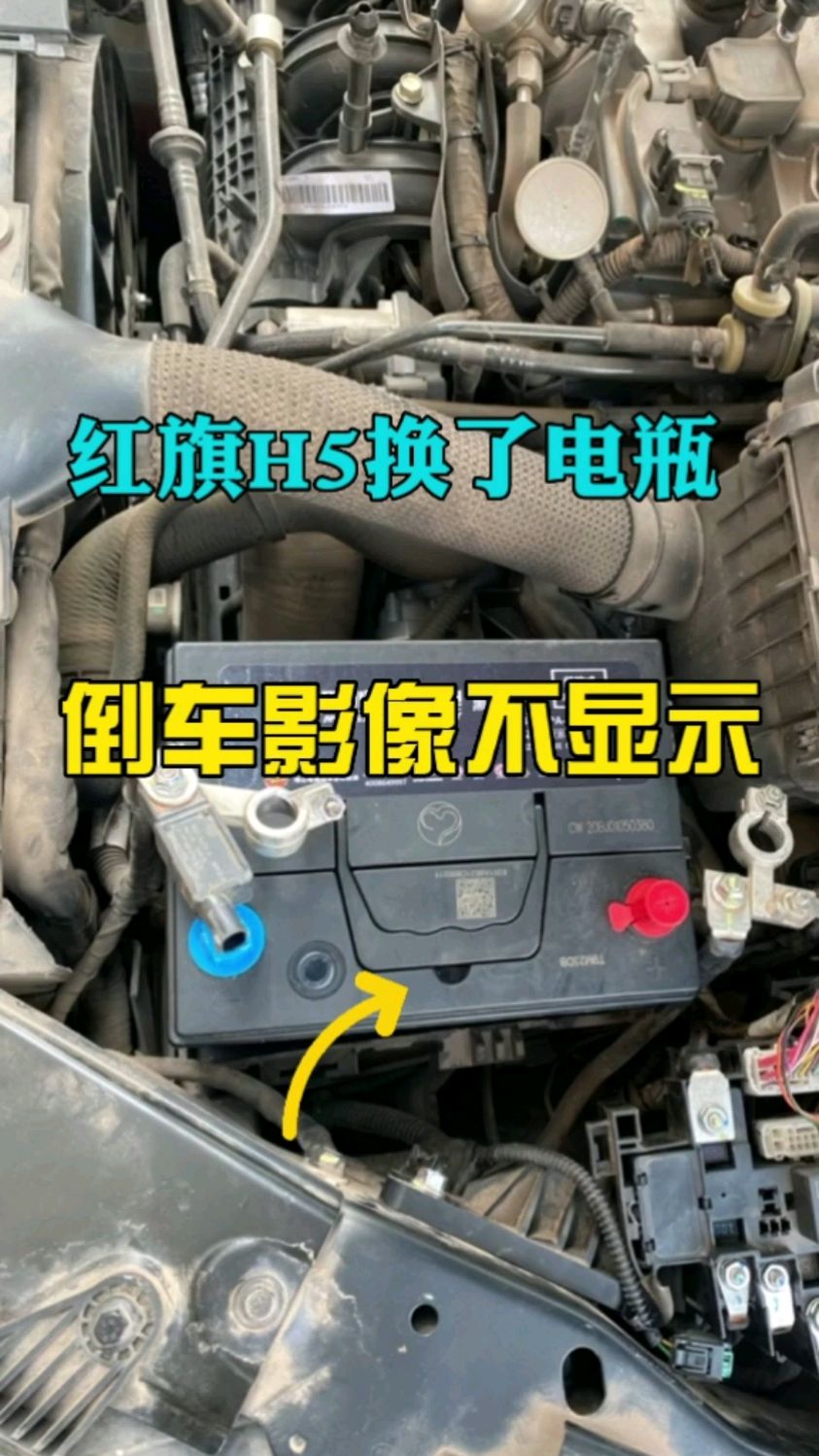 红旗h5蓄电池型号图片