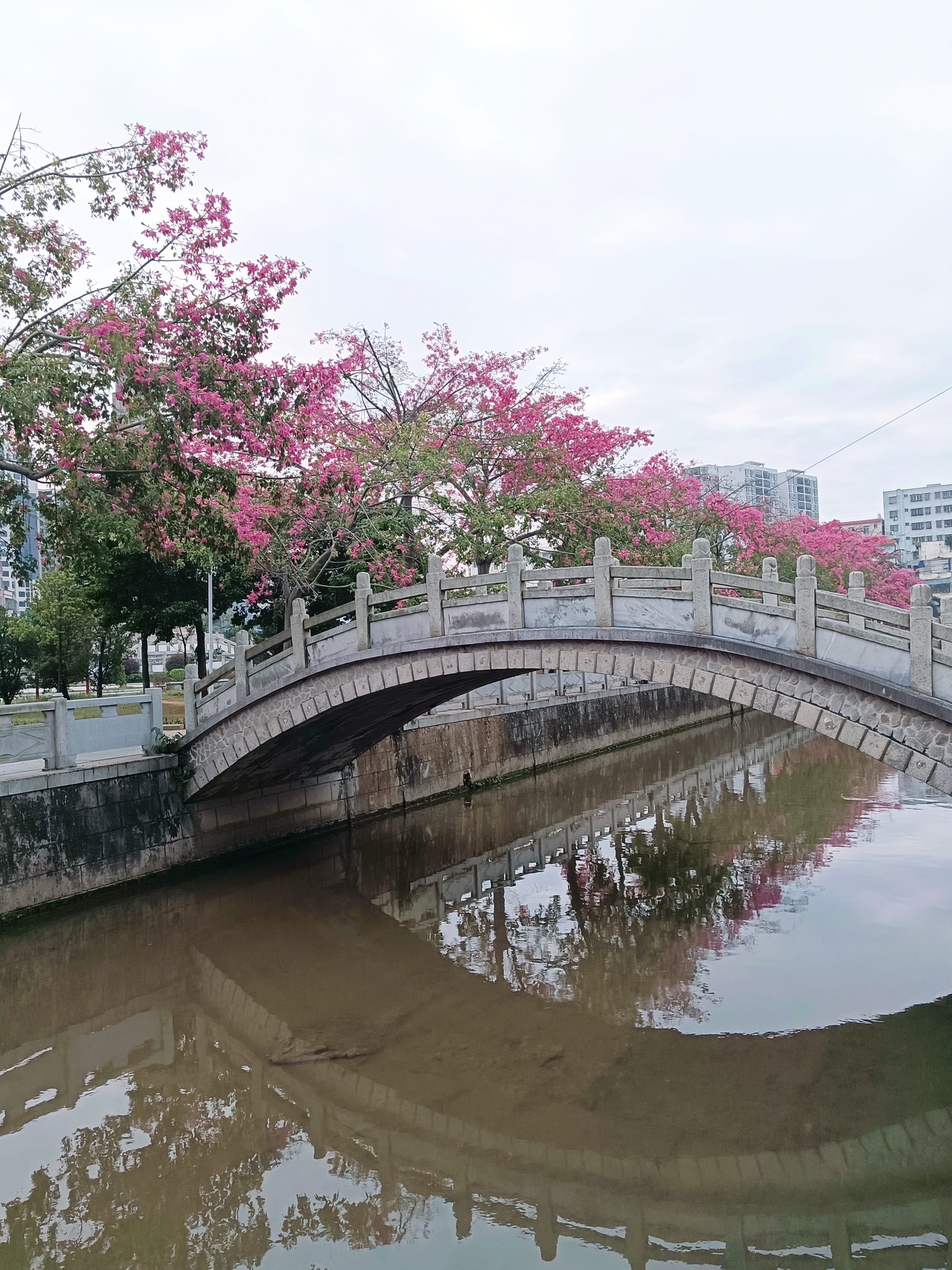 遂溪万达广场图片