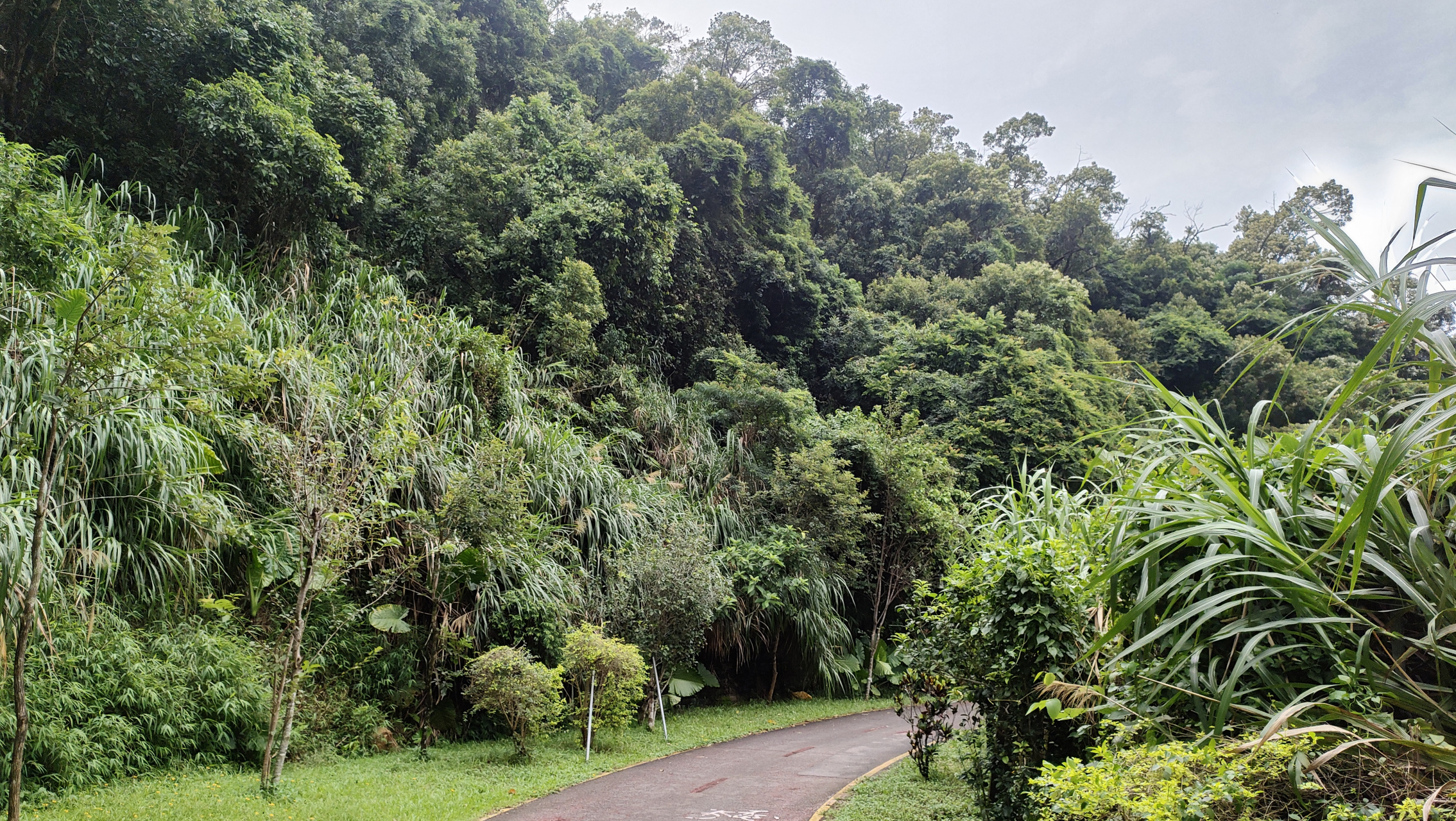 深圳绿道西坑段