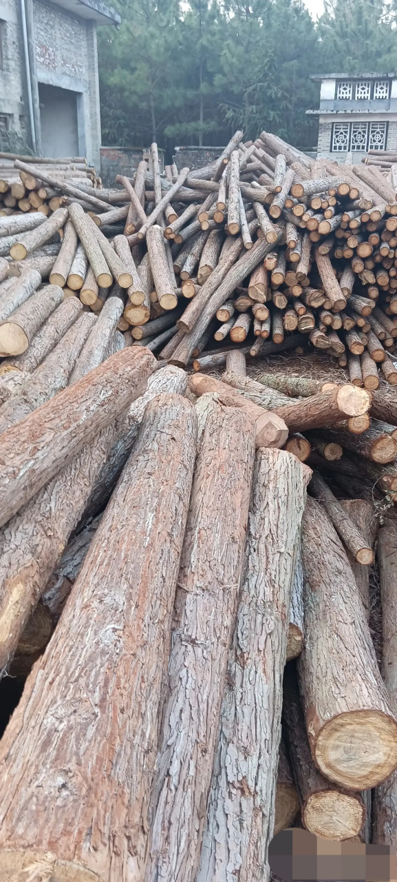 三年前堂哥的儿子给他老丈人打工一年,工资没拿一分还是小事,自己还垫