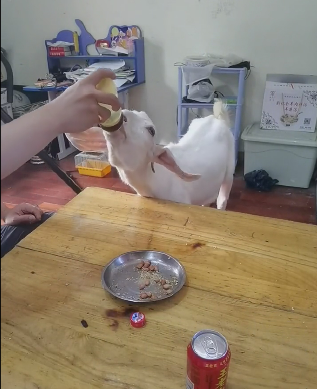 盘点那些令人发笑的图片:我都在开导你了,希望你不要恩将仇报!