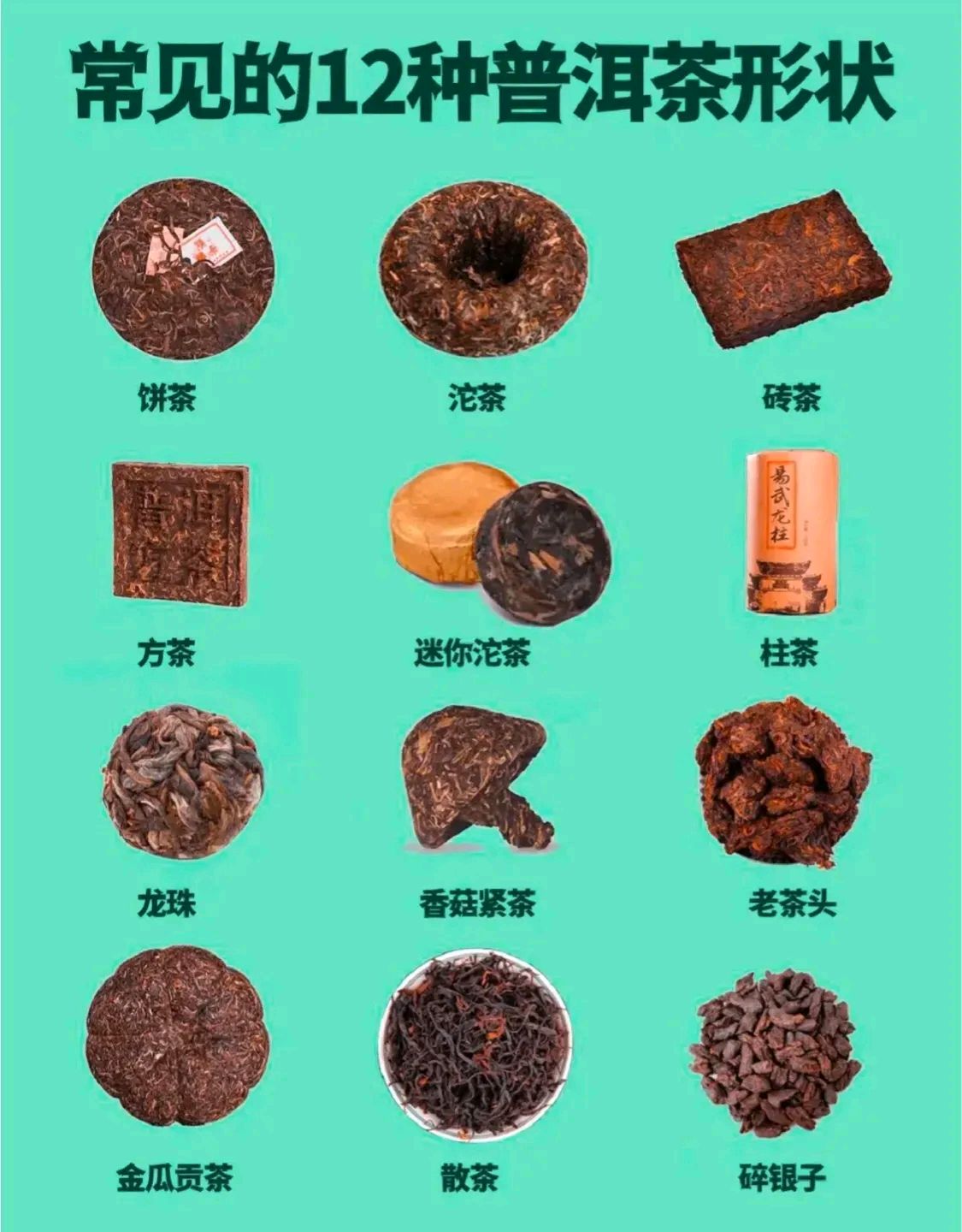 普洱茶名称大全和图片图片