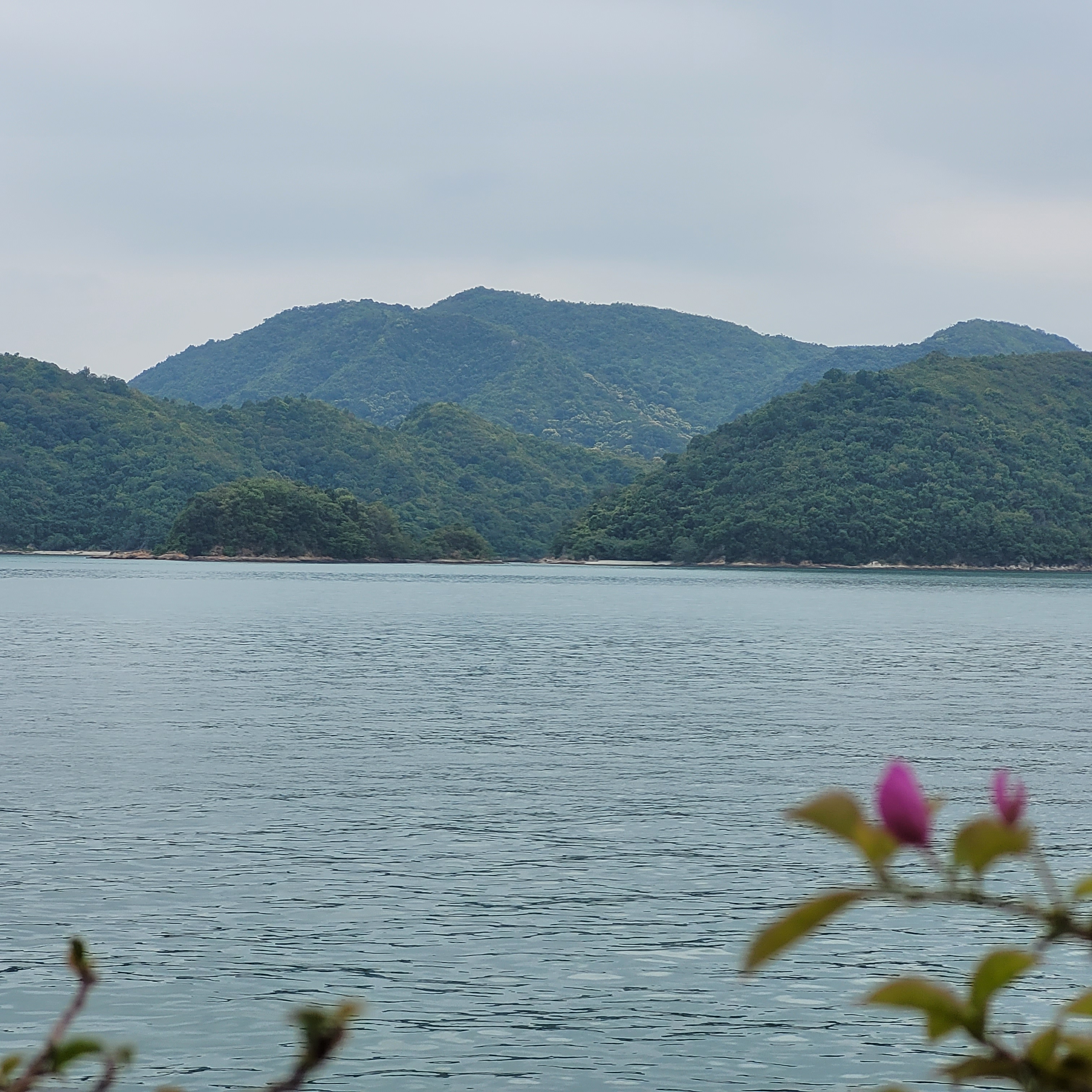 深圳盐田海山一角