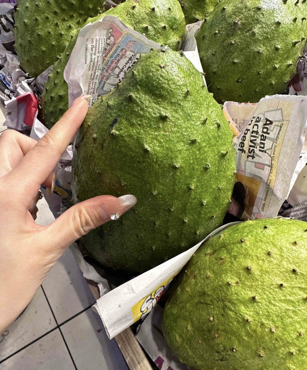 这是什么水果?带刺的牛油果?