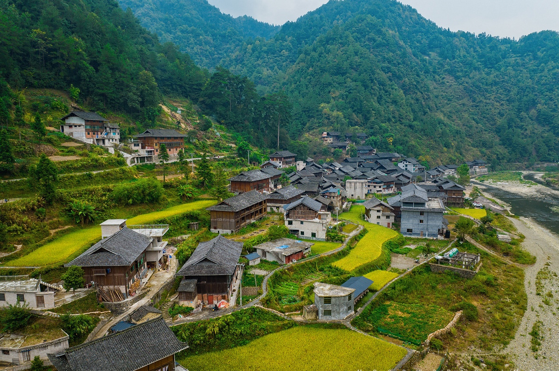 贵州黔东南季刀苗寨[大哈][大哈]